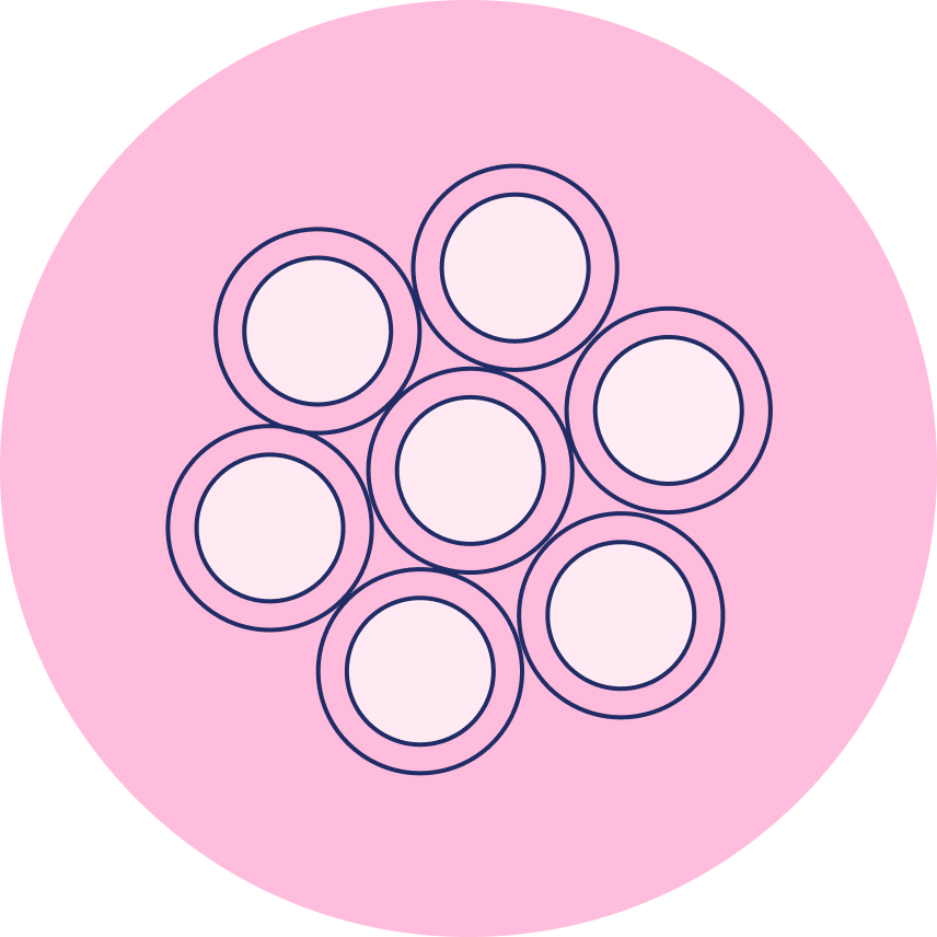 Illustration of multiple food allergies